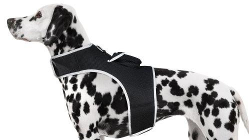 Portable Dog Tracking GPS GSM Locating Device Supports Geo-Fencing NIB Size:XS