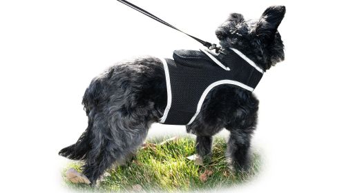 Inexpensive Dog Locator Device Waterproof + Perimeter Fencing Settings Size:M